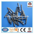 good quality common nail iron nail factory